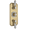 53982 small Image 7