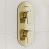 68499 small Image 9